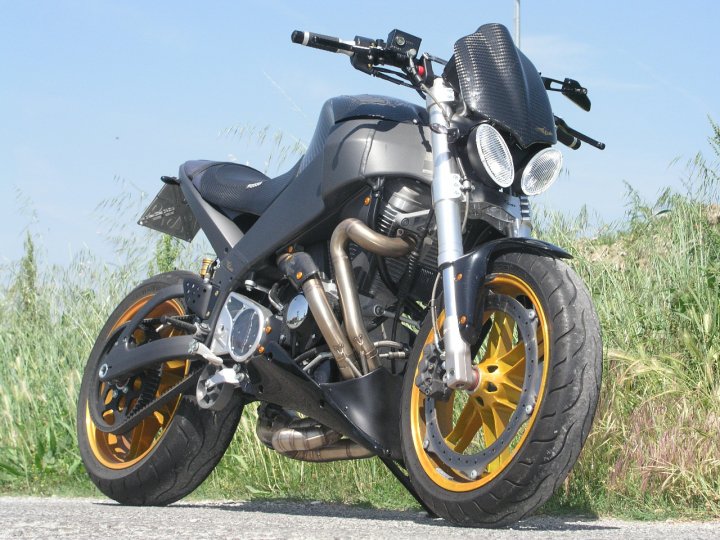 Buell XB12S Snake