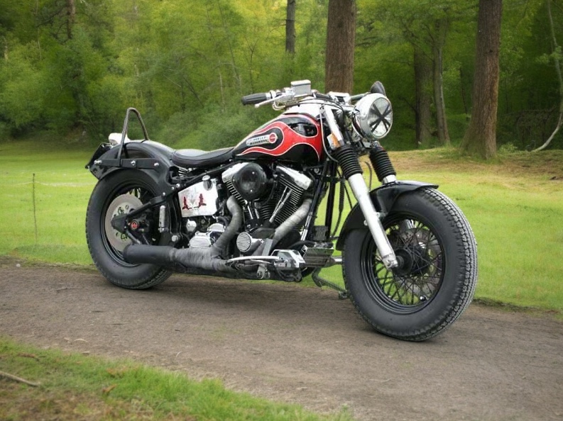 Harley Davidson Bobber Aerografato