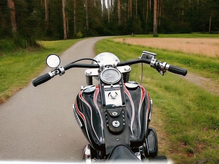 Harley Davidson Bobber Aerografato